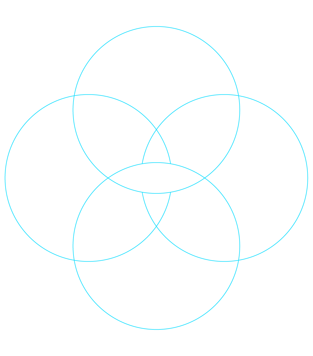 检查—方案—训练—跟踪